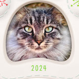 Hallmark Pretty Kitty 2024 Porcelain Photo Frame Ornament