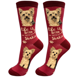 Life is Better Socks Yorkie